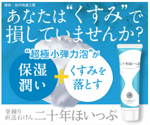 二十年ほいっぷ お試し 最安値